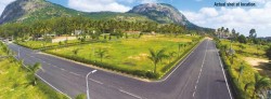 Nandiview