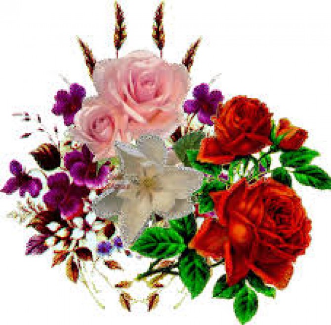 Sri Balaji Flora