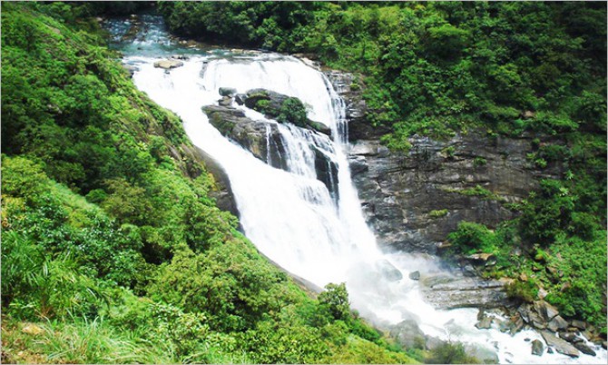 Tropical Rain, Coorg 