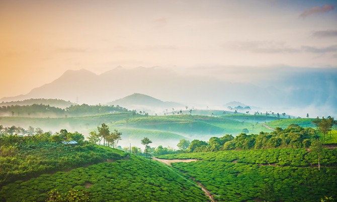 Grassroots, Wayanad 