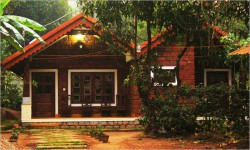 Tropical Rain, Coorg 