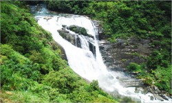 Tropical Rain, Coorg 