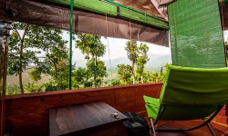 Grassroots, Wayanad 