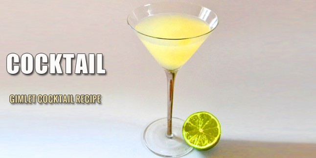 Gimlet Cocktail