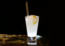 Gin Fizz and Lemon Cocktail