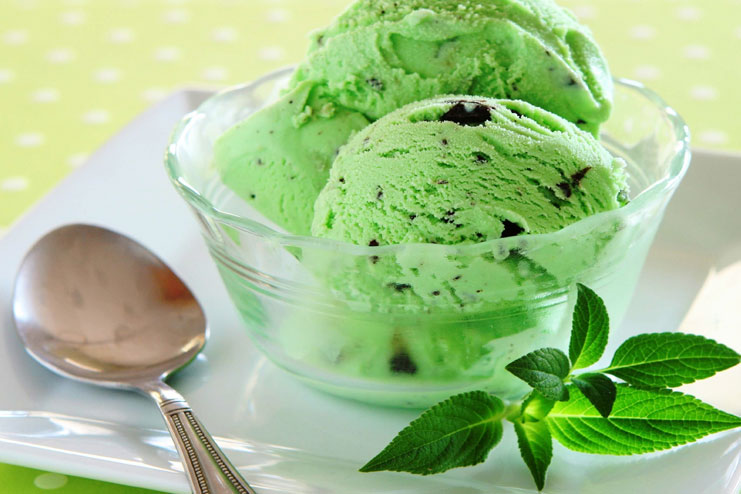 Minty Mint Ice Cream Recipe