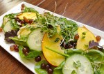 Tasty Summer Salad Recipe