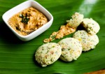 Easy and Tasty Vegetable Idli Recipe | Yummyfoodrecipes.in